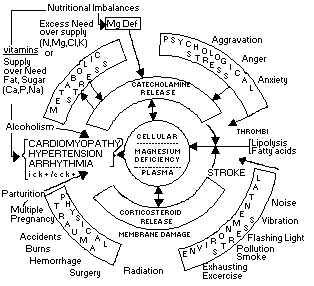 Stress and magnesium